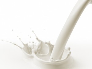 milk_powder_silo