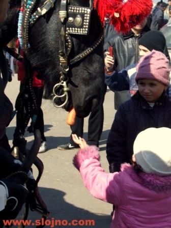 Дете дава морков на кон